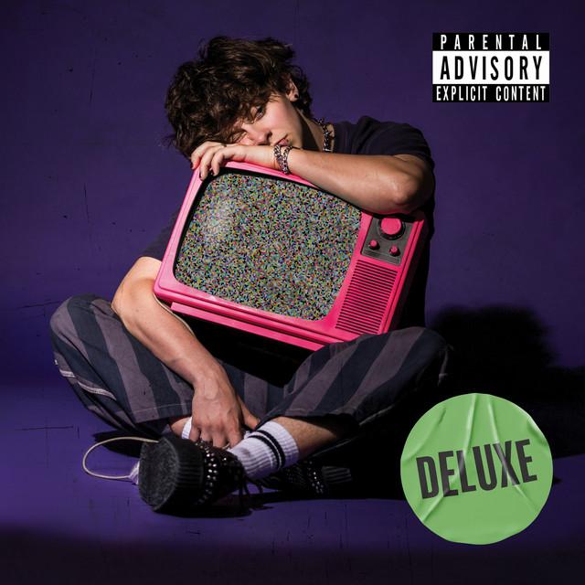 GROWING UP ON THE INTERNET (DELUXE)