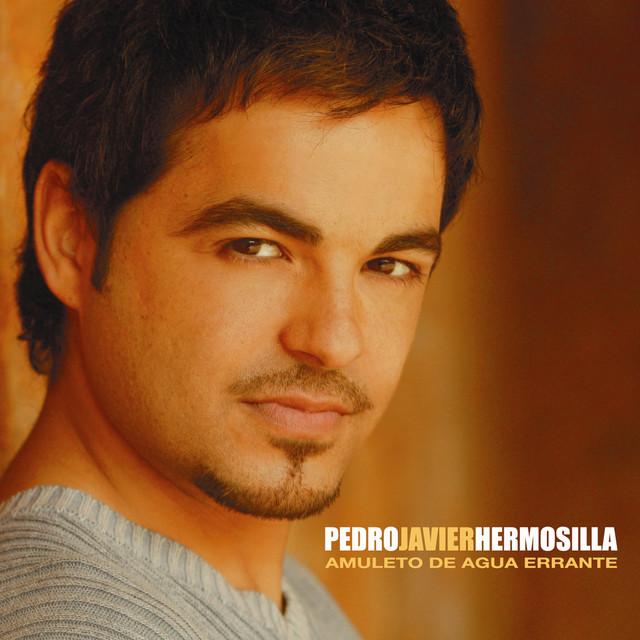 Pedro Javier Hermosilla