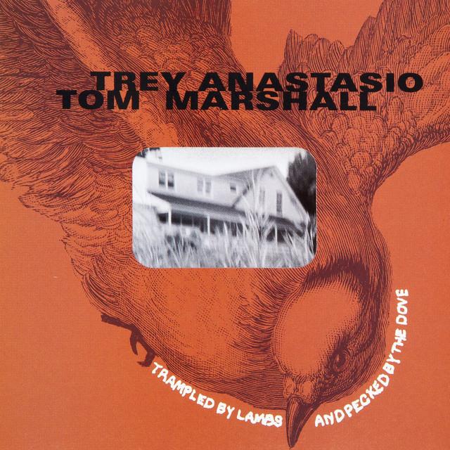 Tom Marshall