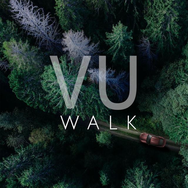 Vu
