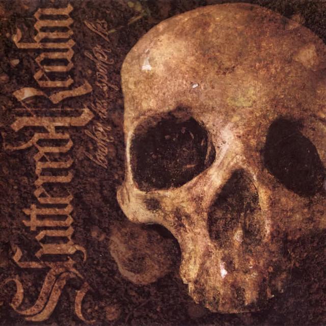 Shattered Realm