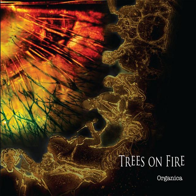 Trees On Fire