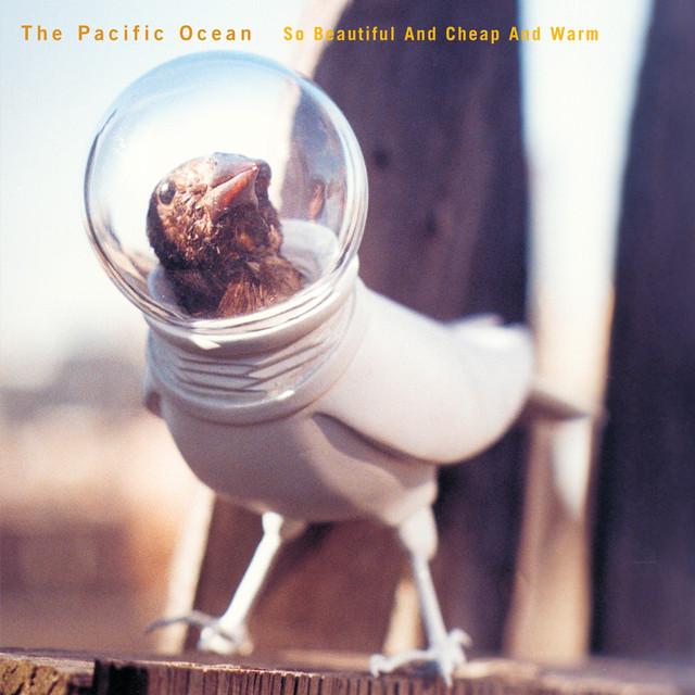 The Pacific Ocean