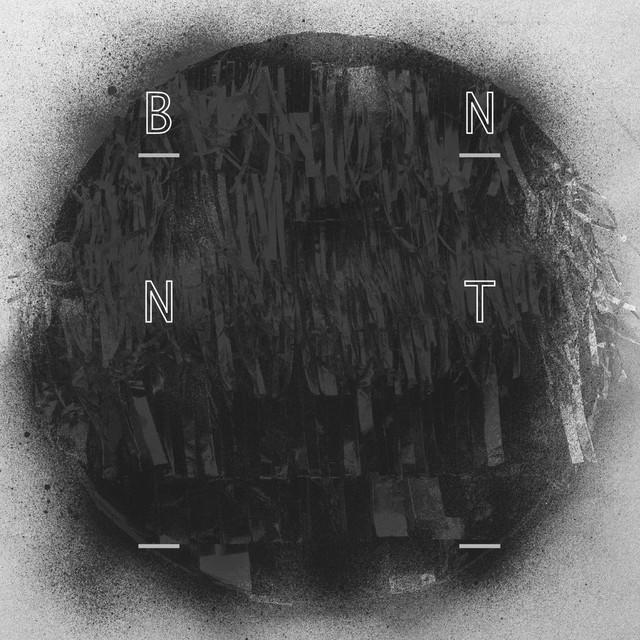 BNNT