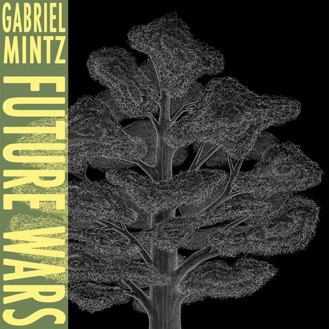 Gabriel Mintz