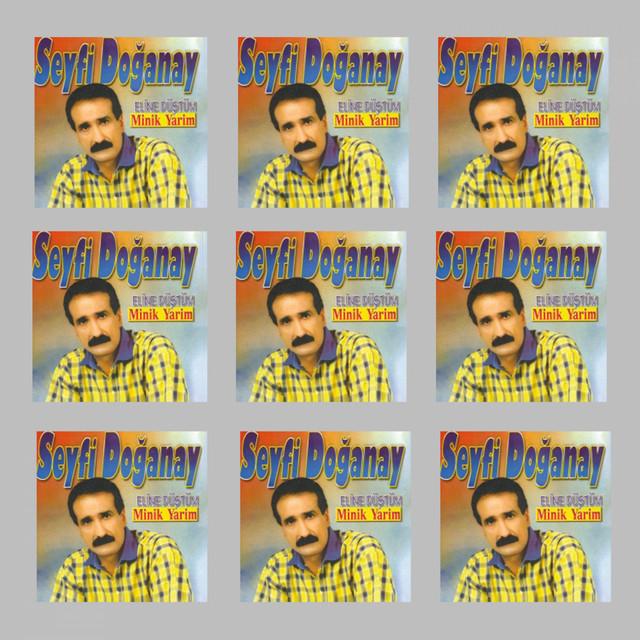 Seyfi Doganay