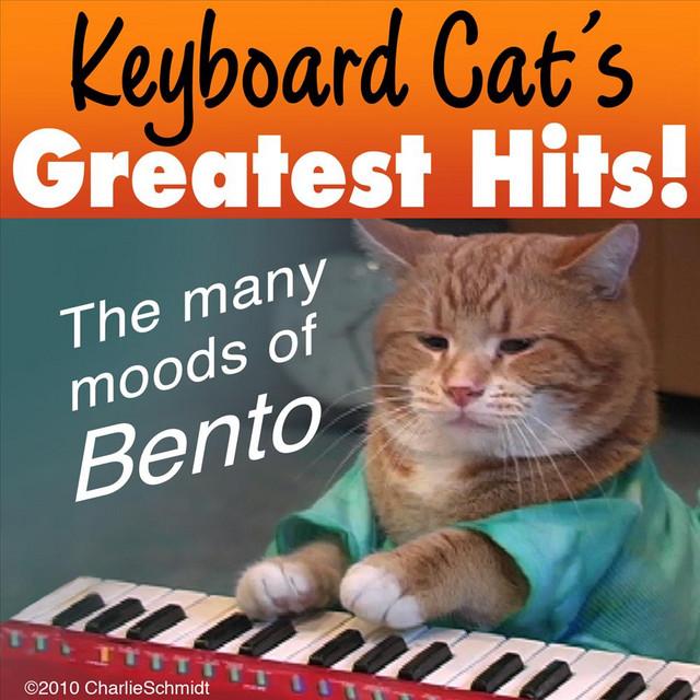 Keyboard Cat