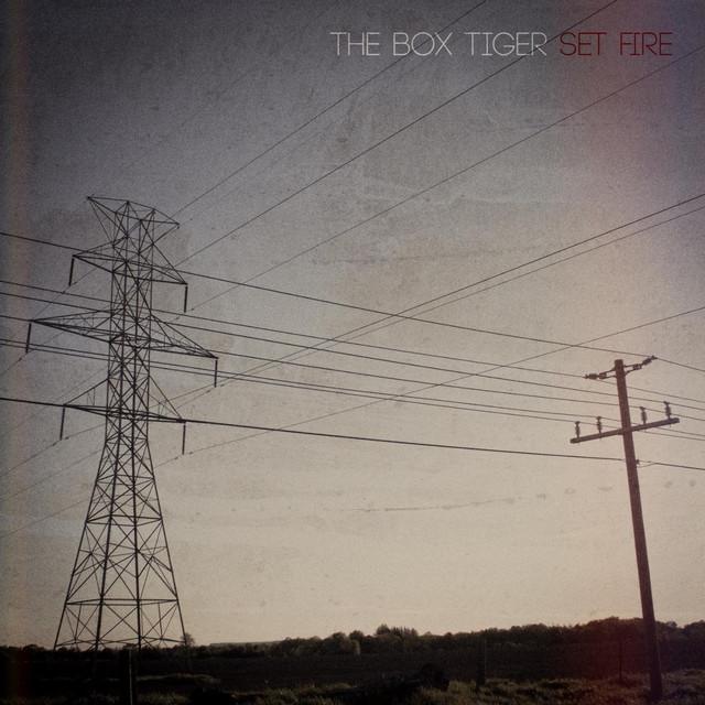 The Box Tiger
