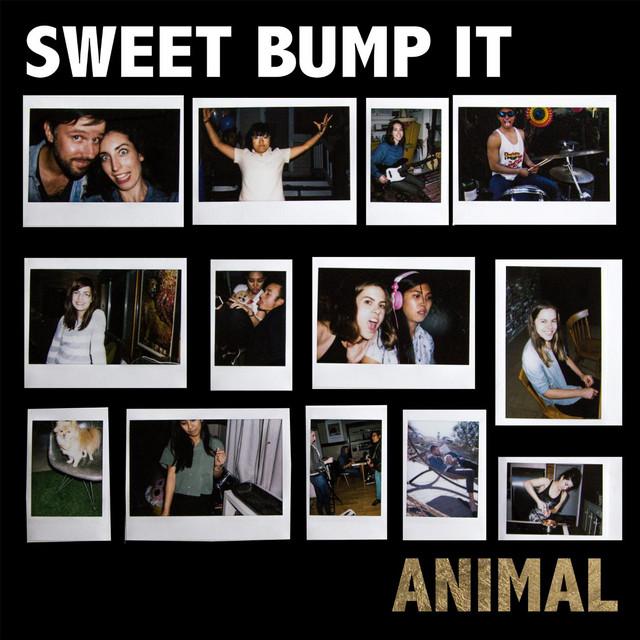 Sweet Bump It