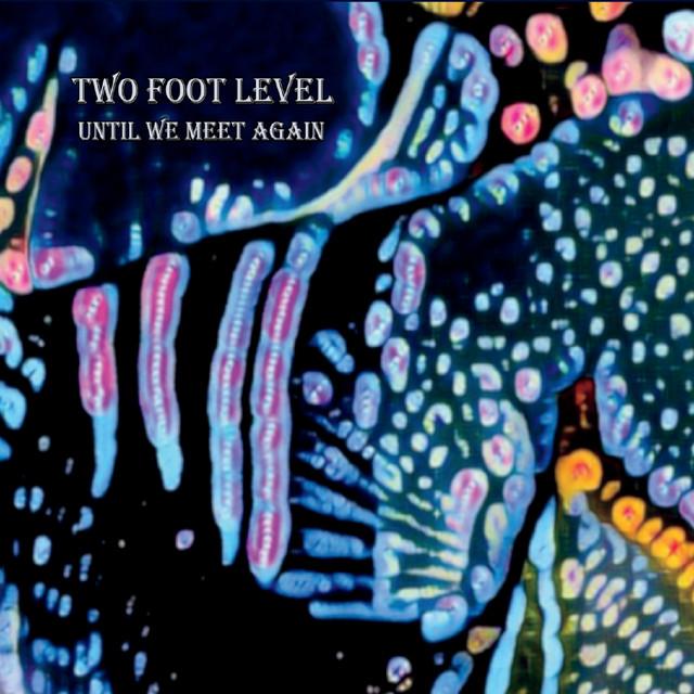 Two Foot Level