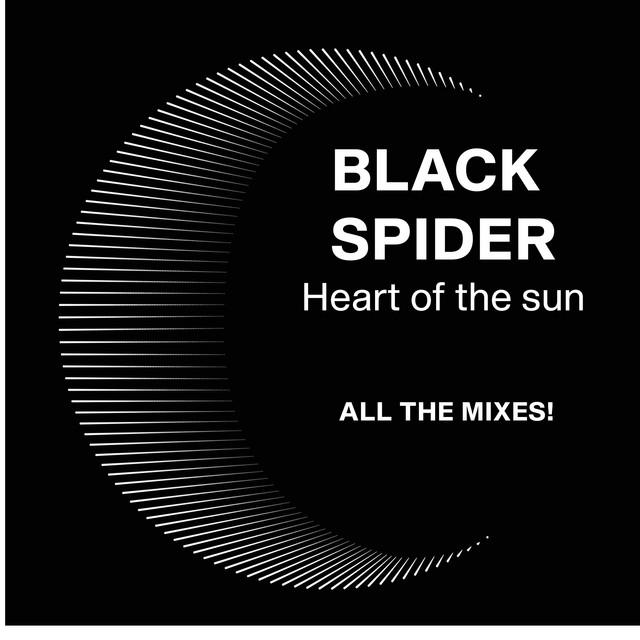Black Spider