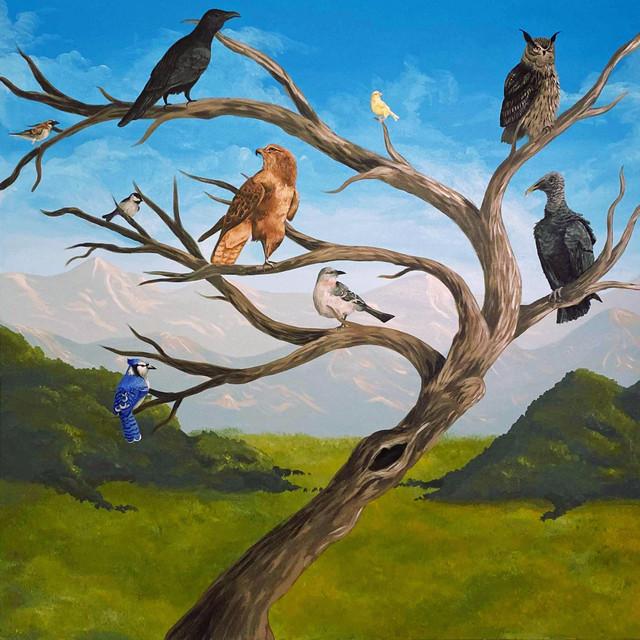 Shy Birds
