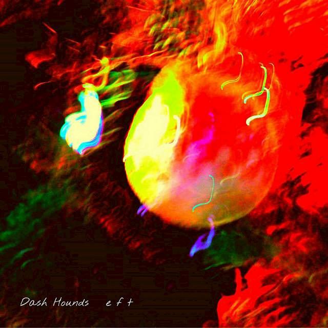 Dash Hounds