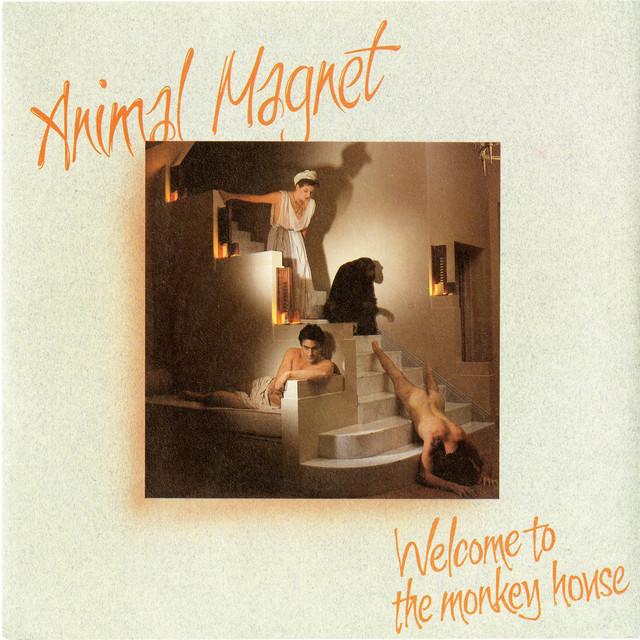 Animal Magnet