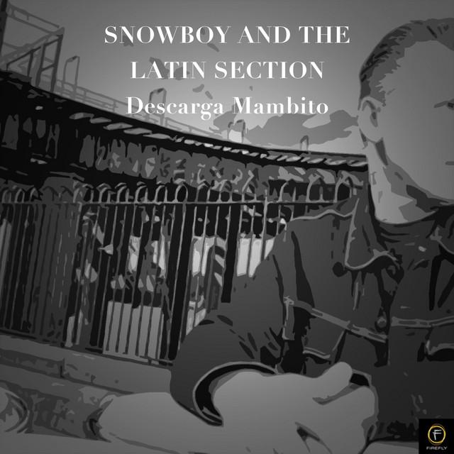 The Latin Section
