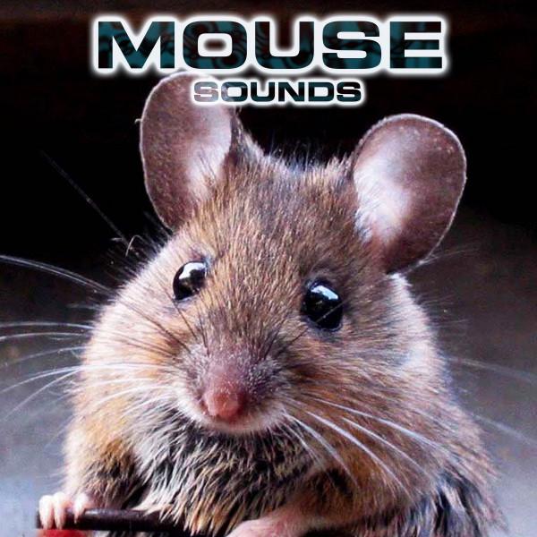 Mouse Sounds