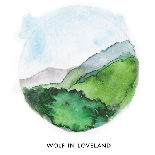 Wolf in Loveland