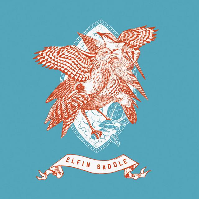 Elfin Saddle