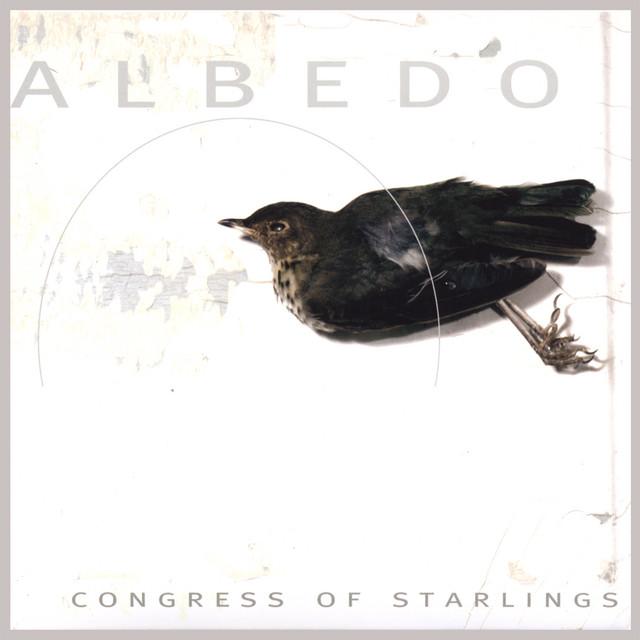 Congress of Starlings