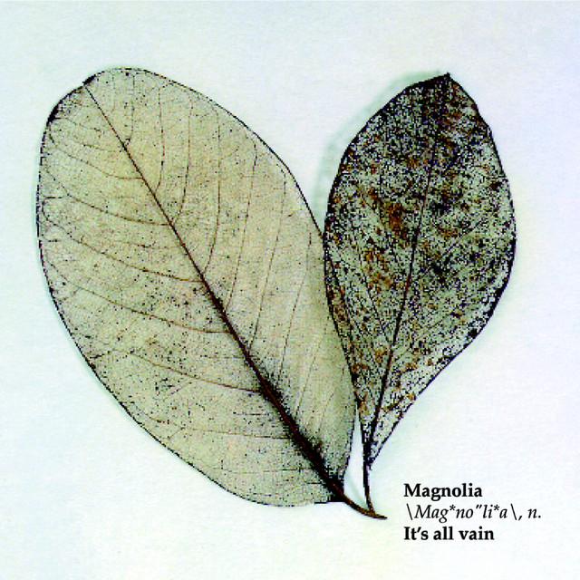 Magnolia