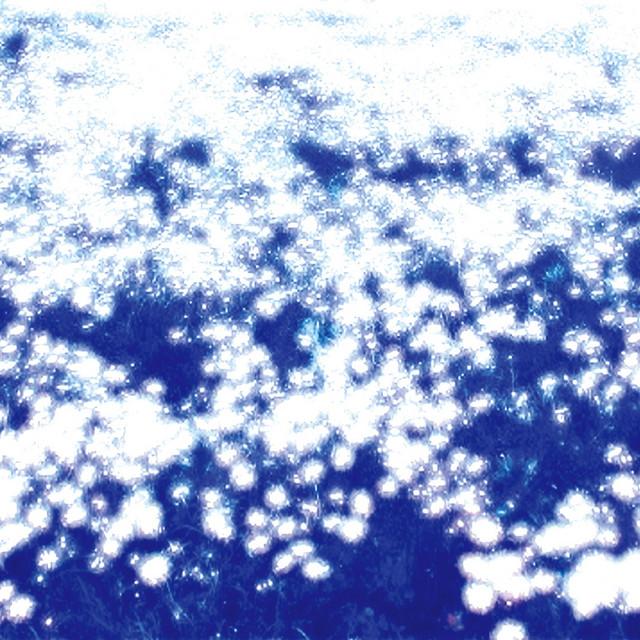 Ovum