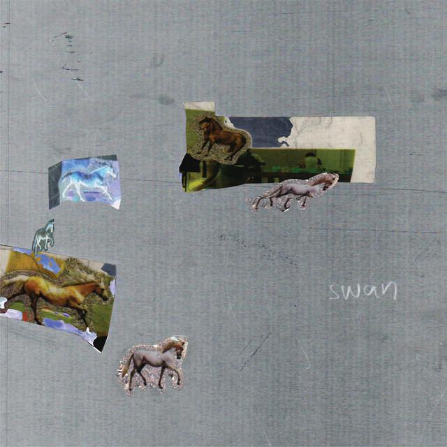 swan