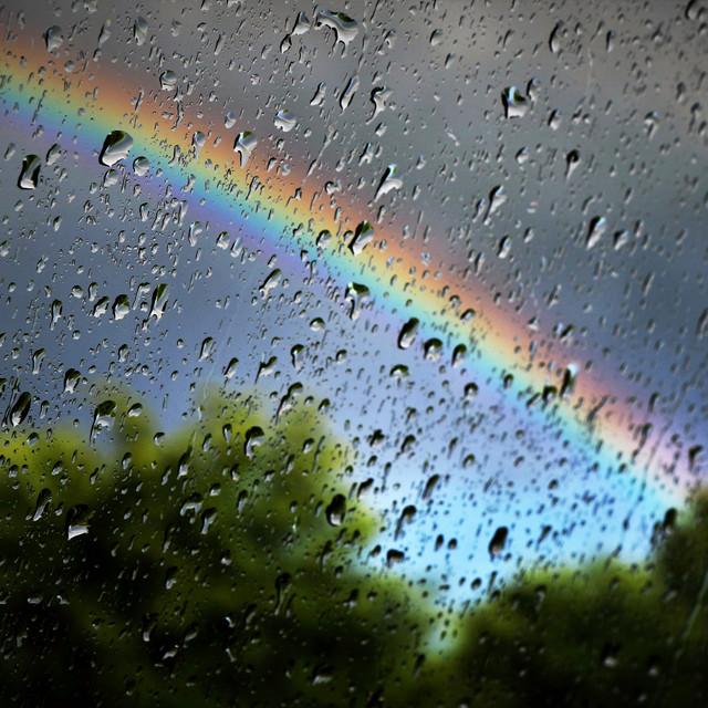 The Rain Sounds Factory