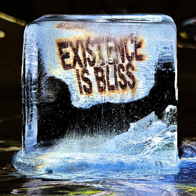 Existence is Bliss