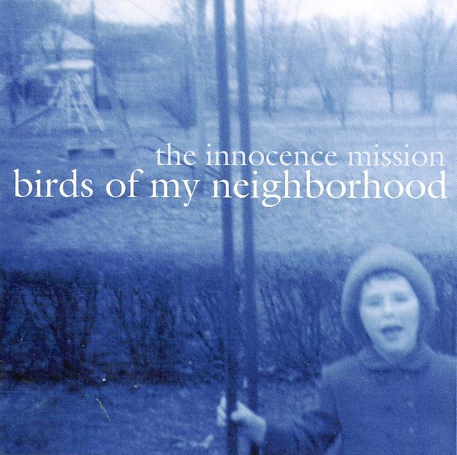 Birds Of My Neighborhood
