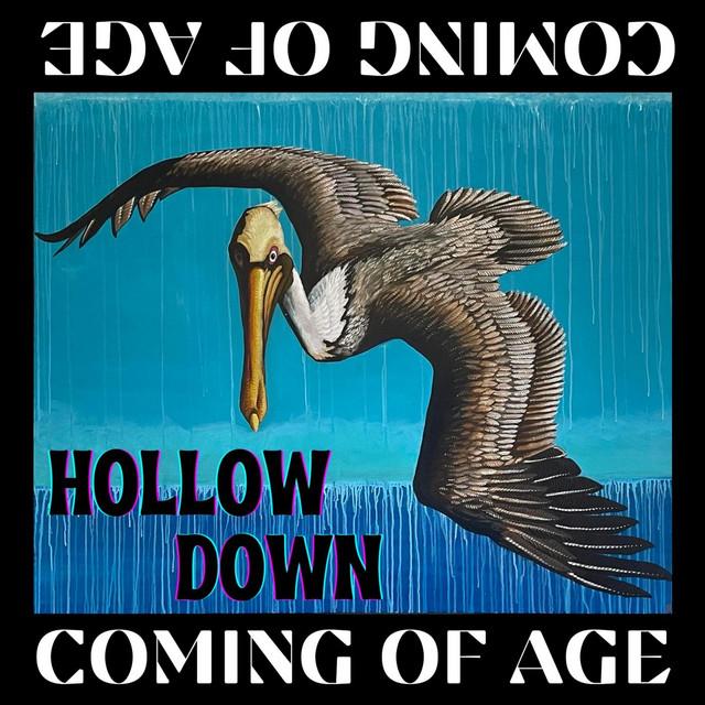 Hollow Down