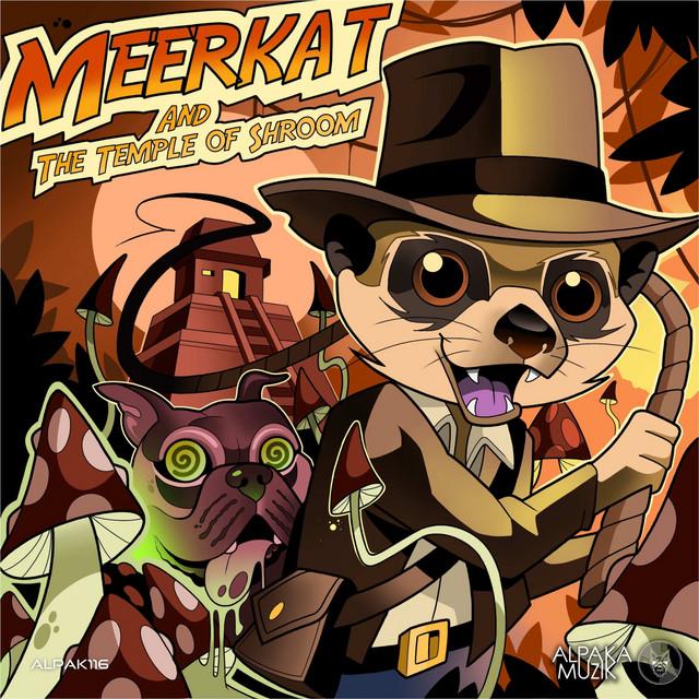 Meerkat