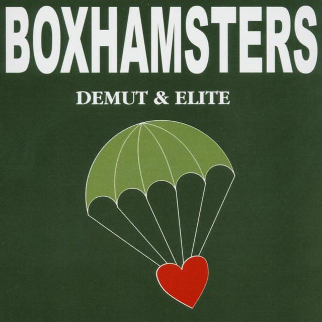 Boxhamsters