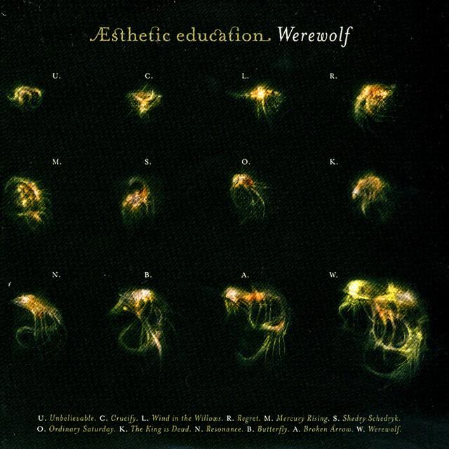 Esthetic Education