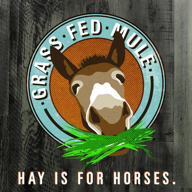 Grass Fed Mule