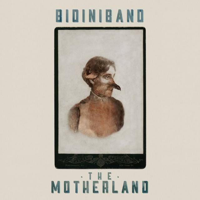 Bidiniband