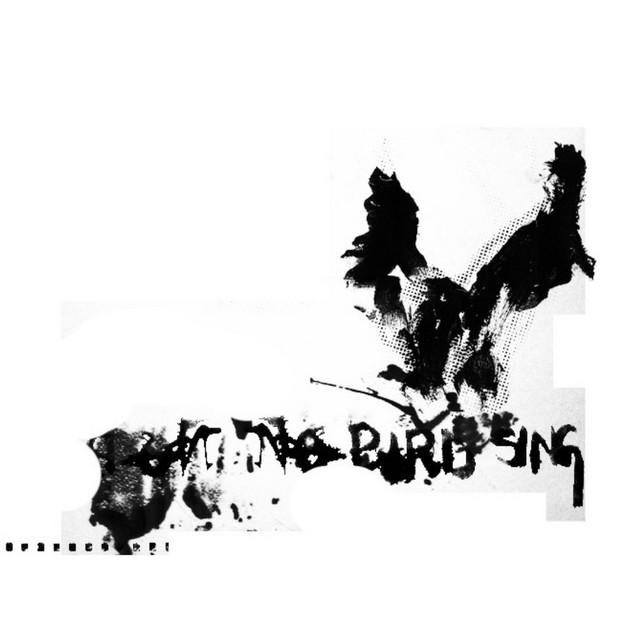 No Bird Sing