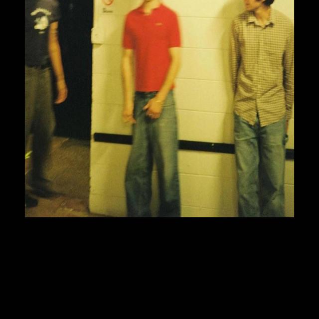 the narwhals