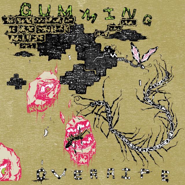 Gumming
