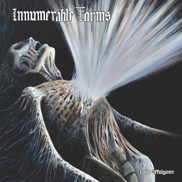 Innumerable Forms