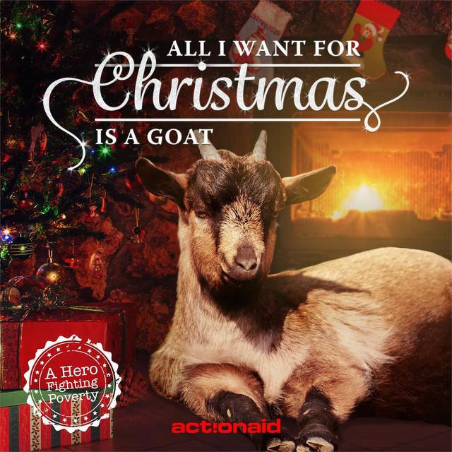 ActionAid