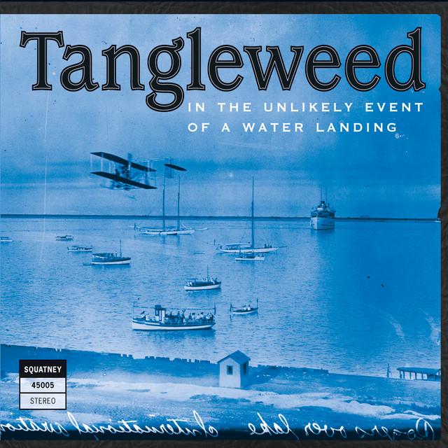 Tangleweed