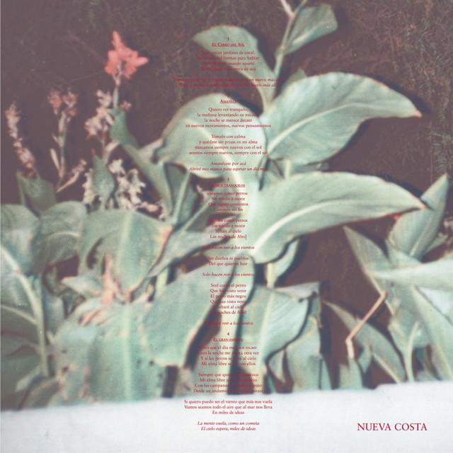 Nueva Costa