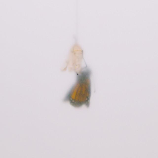 The Meeting Place (Live)