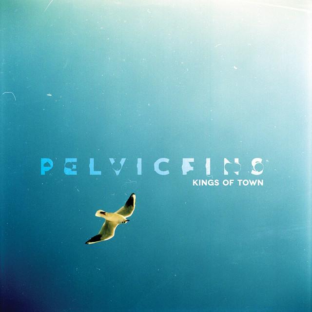 Pelvic Fins