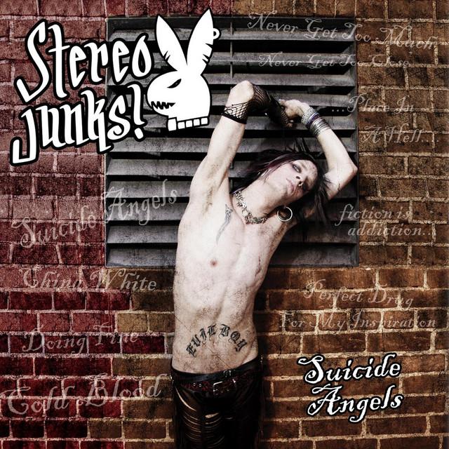 Stereo Junks!
