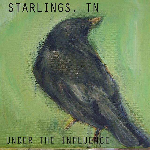Starlings, TN