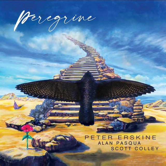 Scott Colley