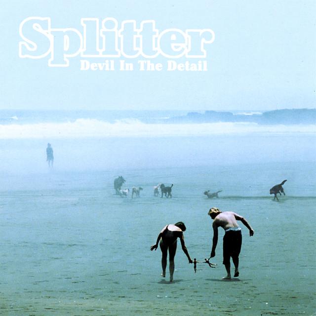 Splitter
