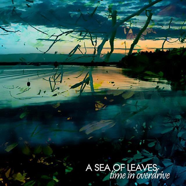 A Sea of Leaves