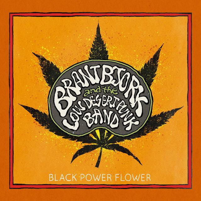 Brant Bjork and the Low Desert Punk Band